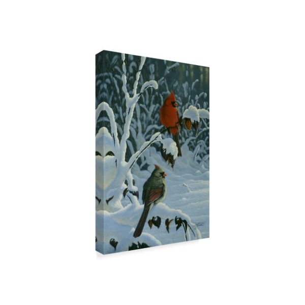 Wilhelm Goebel 'Cardinals And Brambles' Canvas Art,12x19